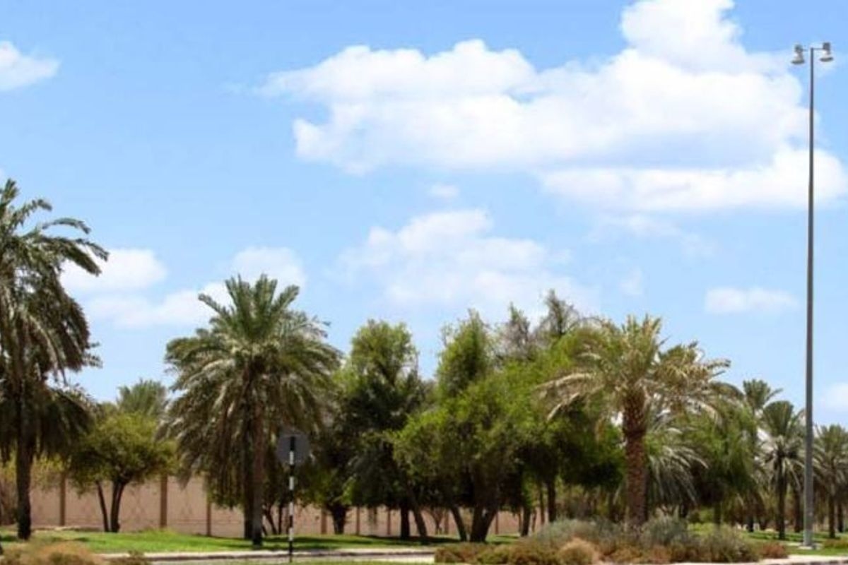 Ain Al Faydah