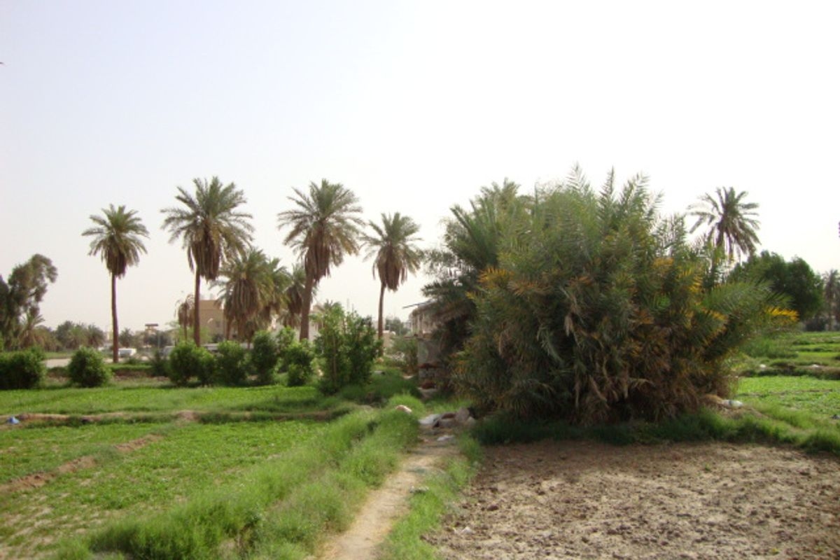 Al Dhahrah