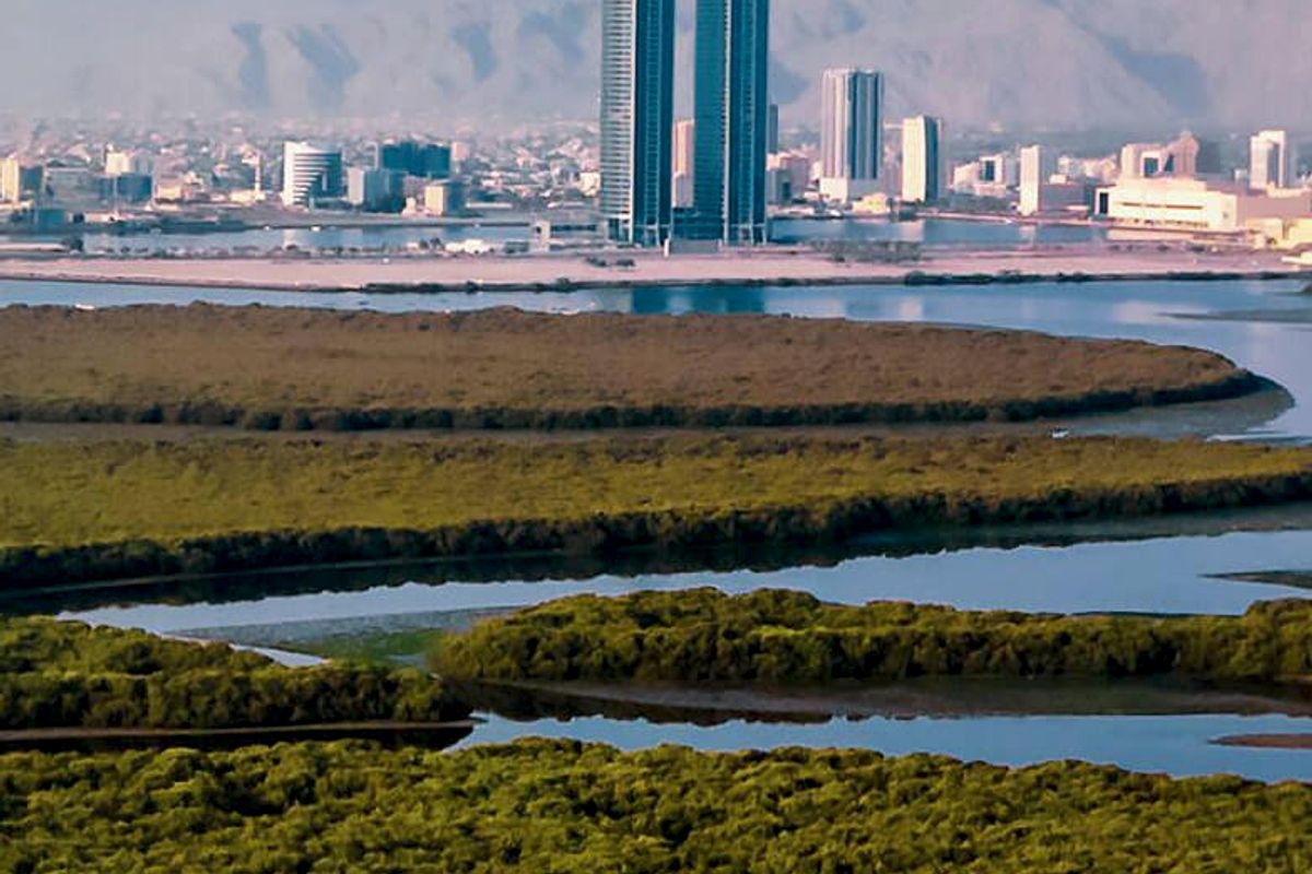 Ras Al Khaimah Creek