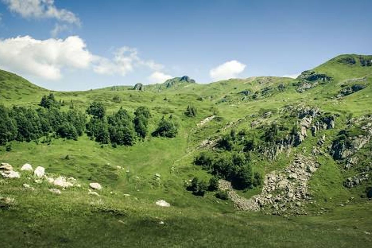 Bjelasica