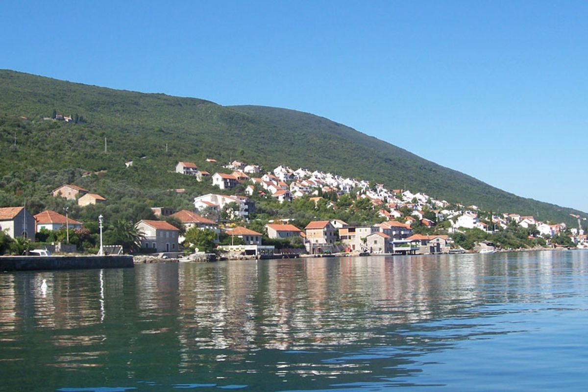 Krasici