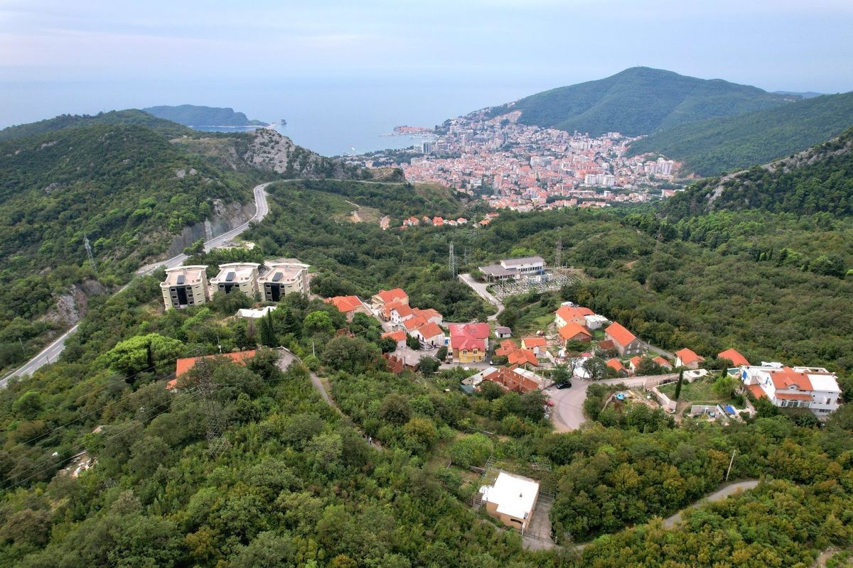 Markovici