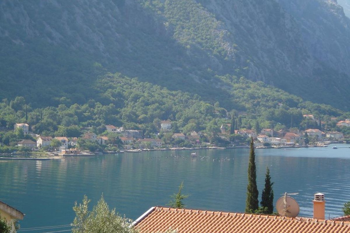 Ljuta