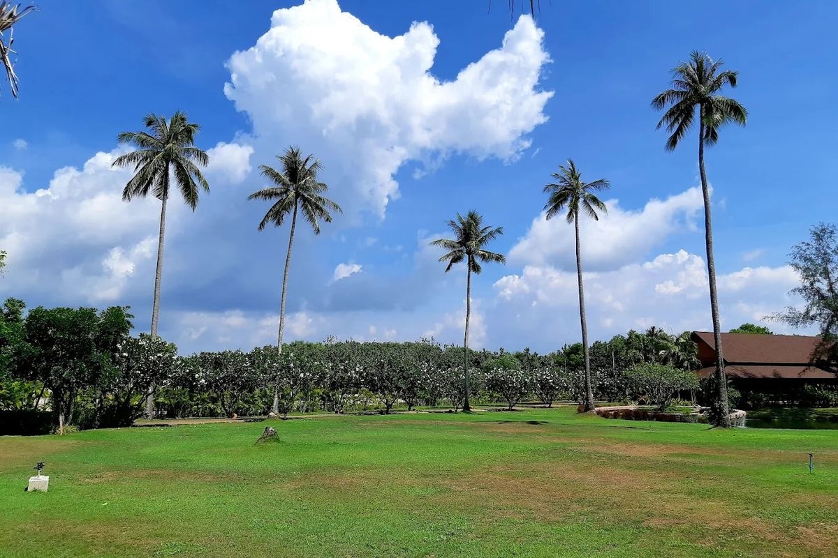 Mai Khao