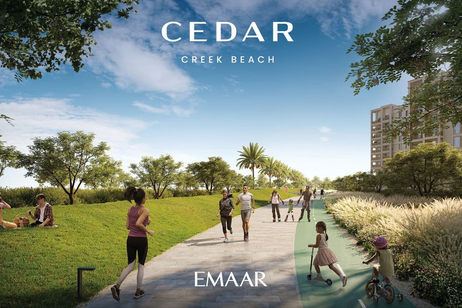 Cedar