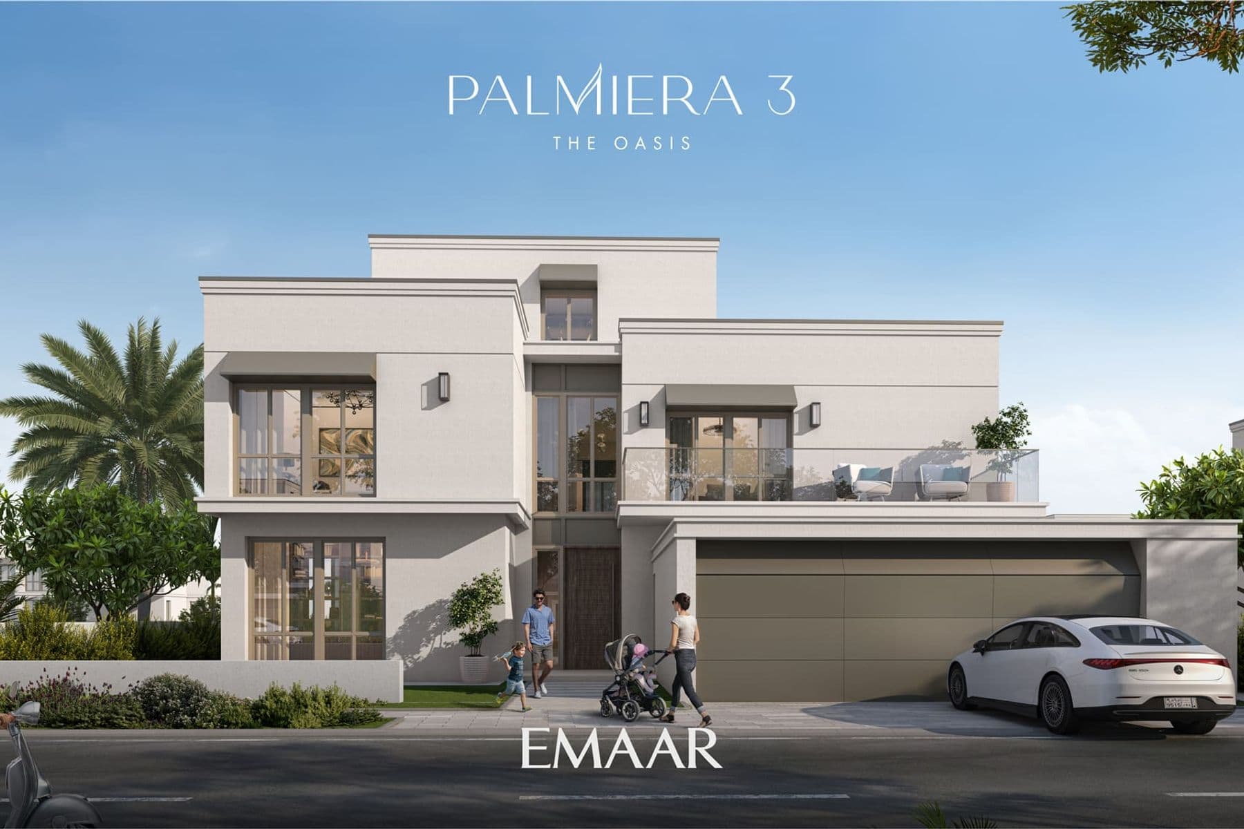 Palmiera 3