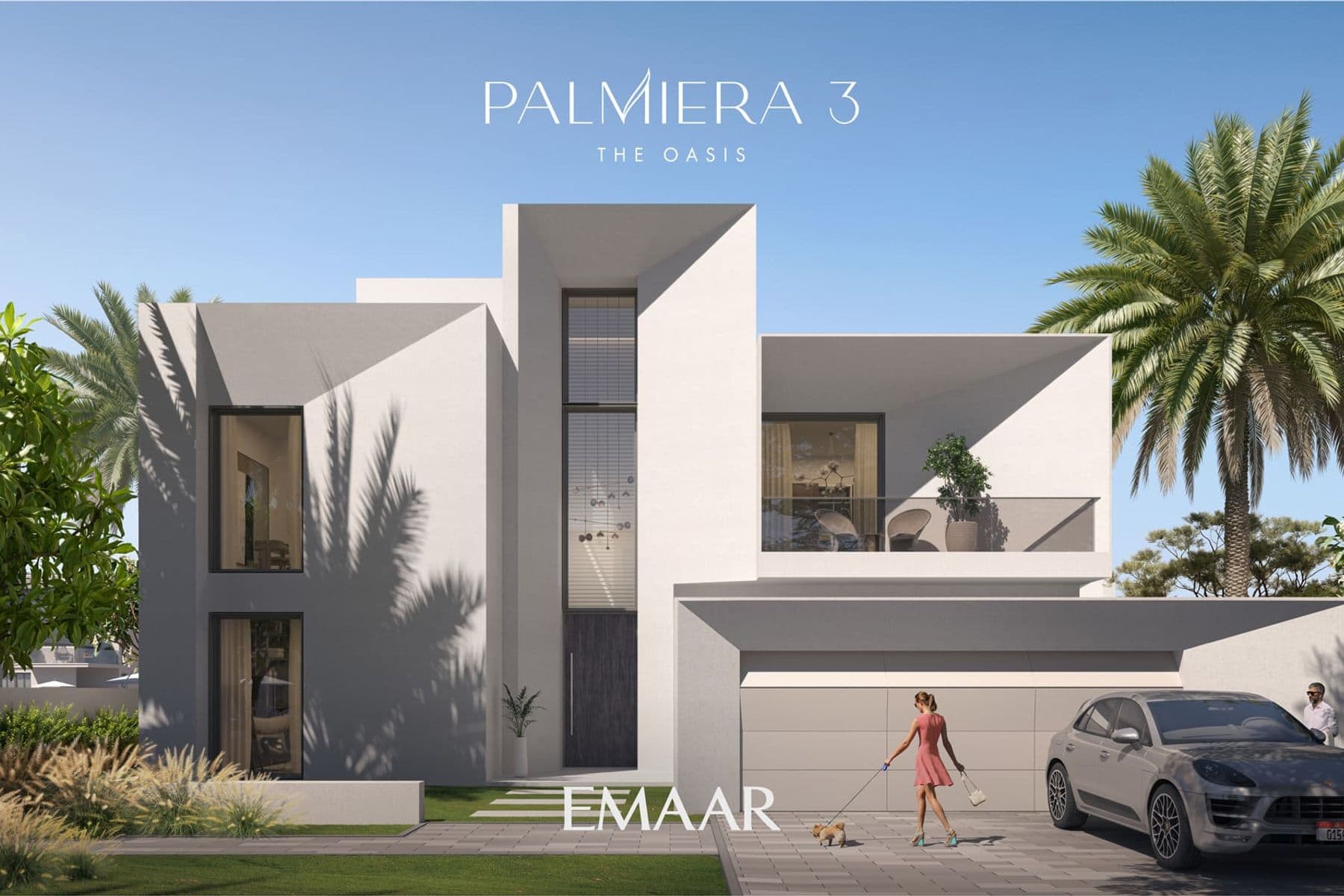 Palmiera 3