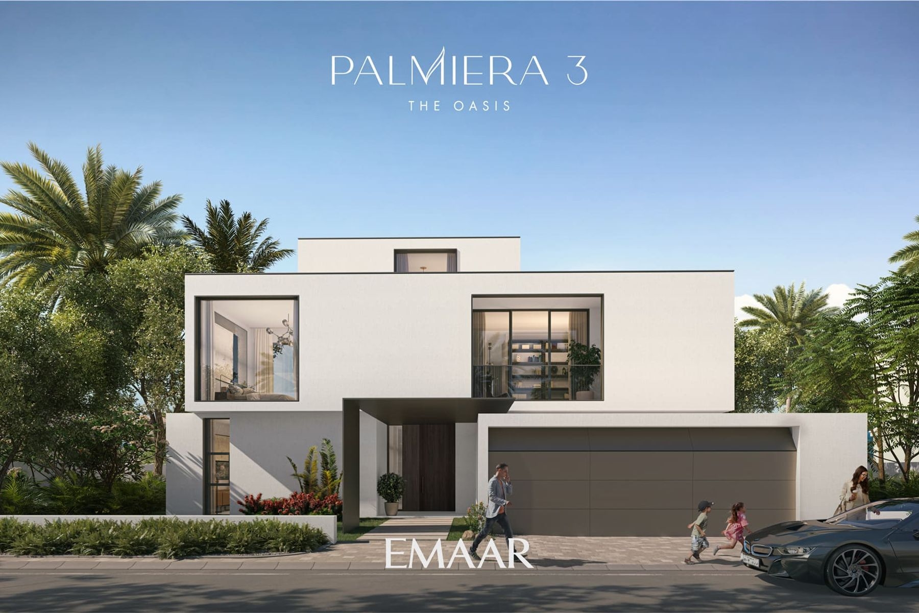 Palmiera 3