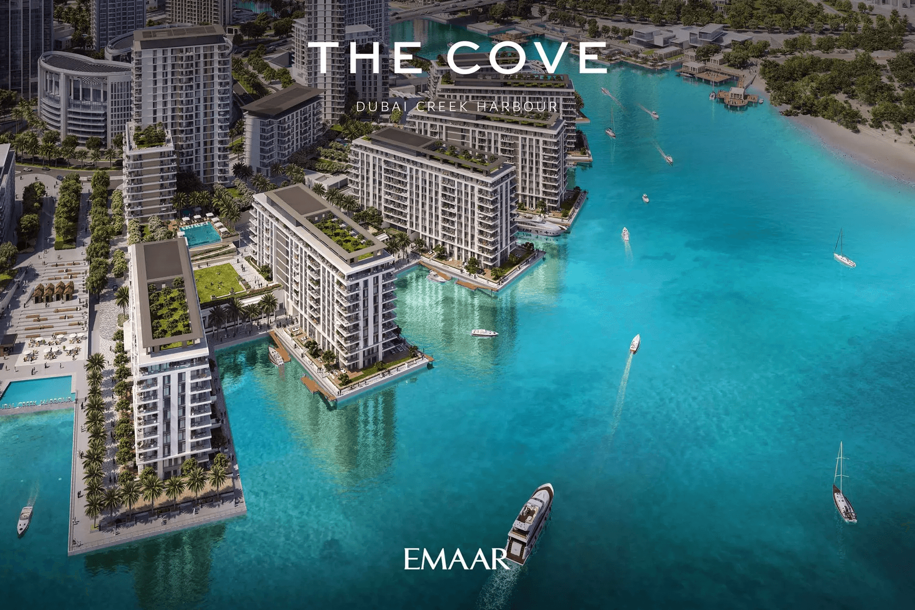 The Cove