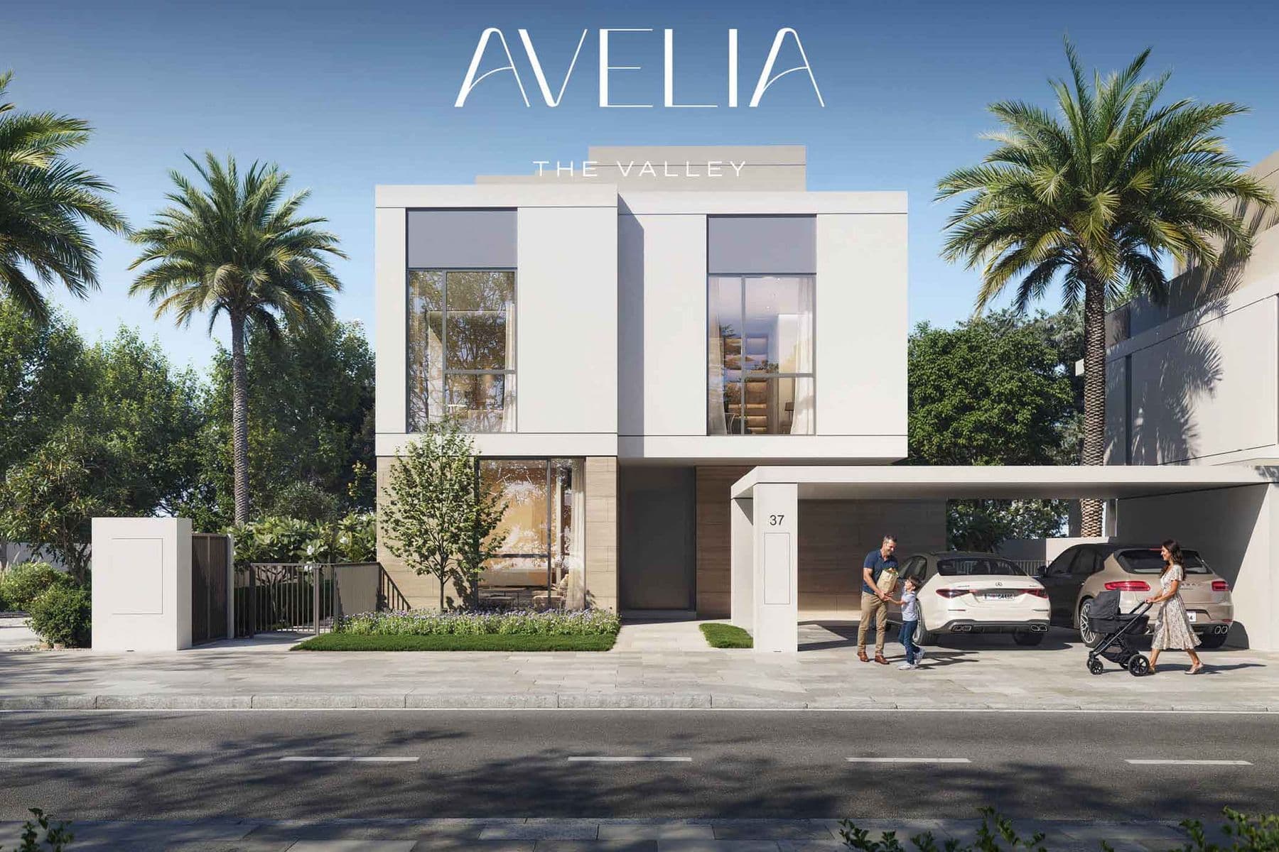 Avelia