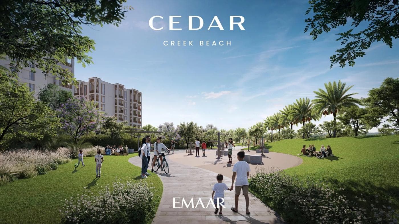 Cedar