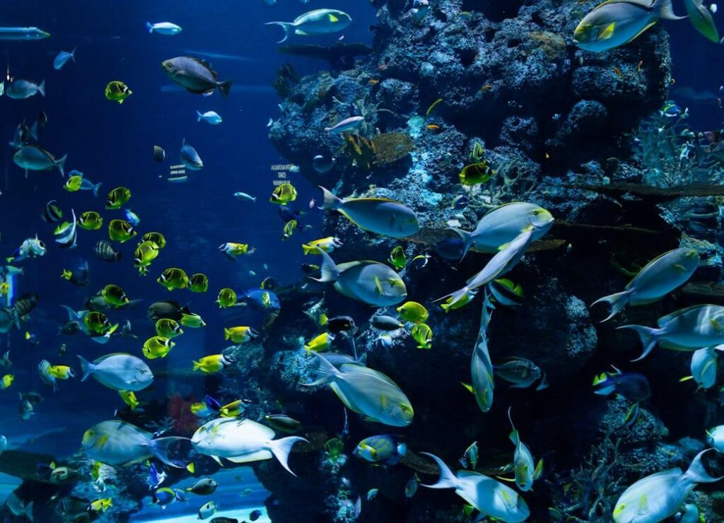 Places to Visit in Dubai: Top 10 Tourist Attractions 03 Places to Visit in Dubai: Top 10 Tourist Attractions 03